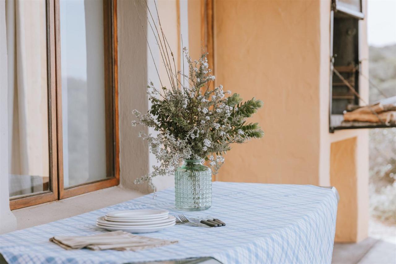 Ocean View Cottage, Springerbaai Boggomsbaai Bagian luar foto
